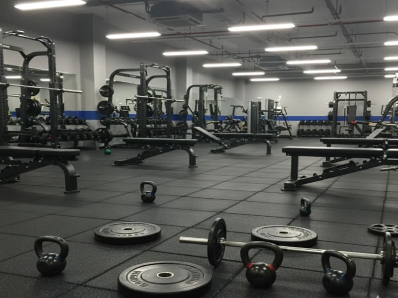 Acoustic Home Gym Flooring for Apartments